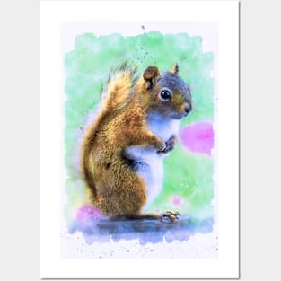 Cute squirrel standing and waiting Posters and Art